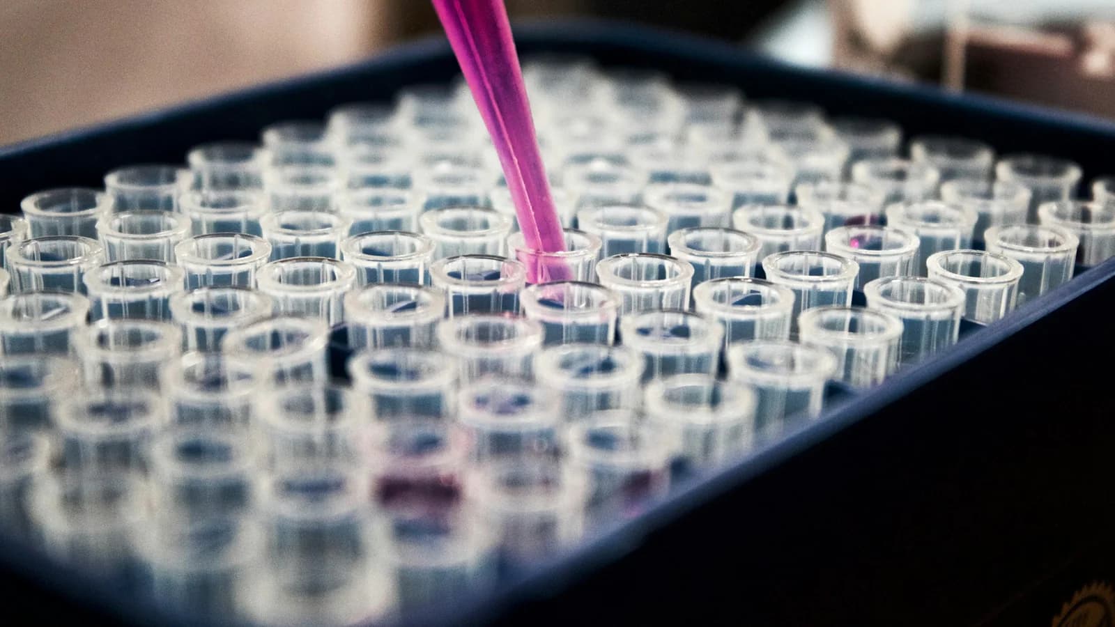 Botanical Biotechnology Innovation